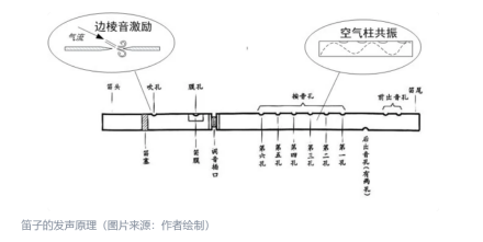 笛子的发声原理 