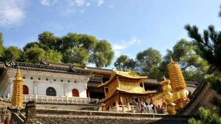 显通寺