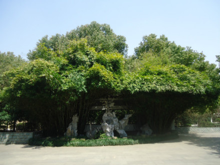 乌伤县