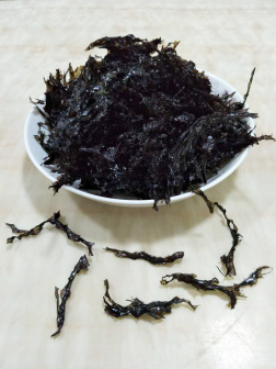 紫菜