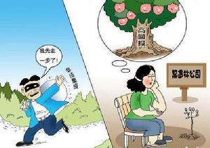 远离非法集资