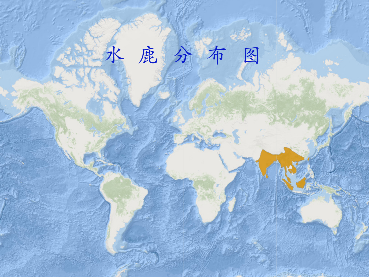 水鹿分布图