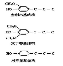 木质素单体的分子结构