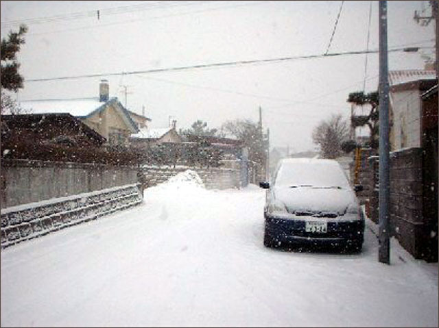 寒潮造成的大面积降雪