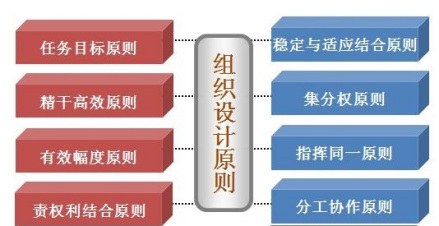 组织设计原则示例