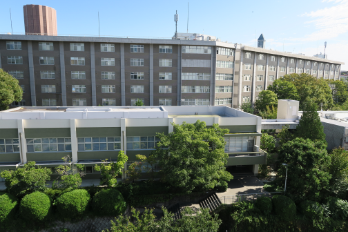 名古屋大学,校园