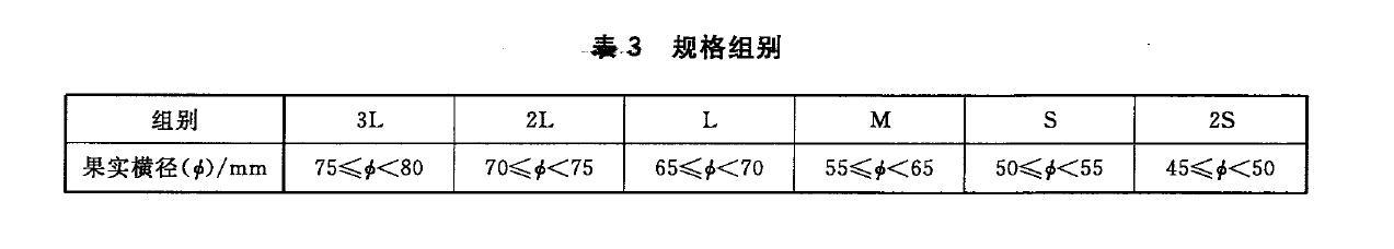 表3 规格组别