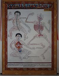 古代藏医挂图