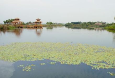 糖坊镇风景