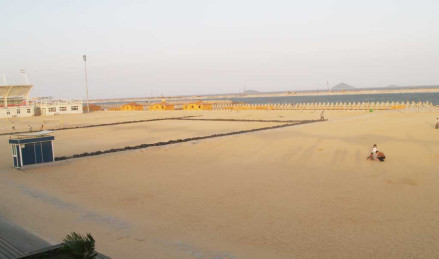 上海宝山区吴淞湿地公园
