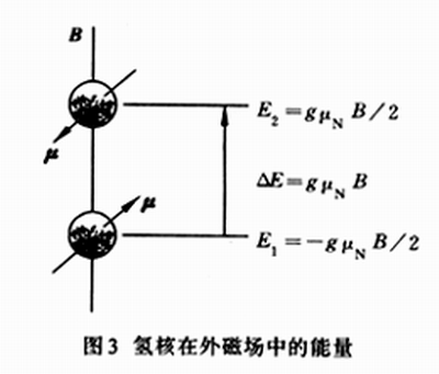 核自旋与核磁矩