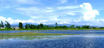 风景