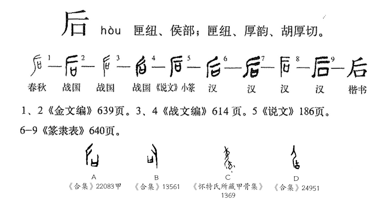 【甲组】“后”字形演变流程图