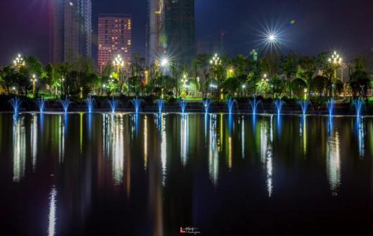 黄花公园夜景