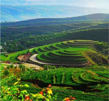彭阳县风景