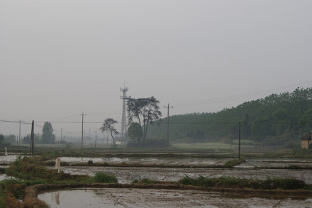 风景图