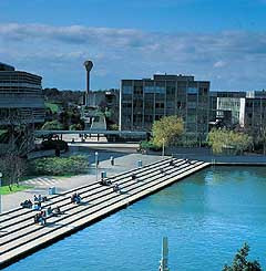 都柏林大学