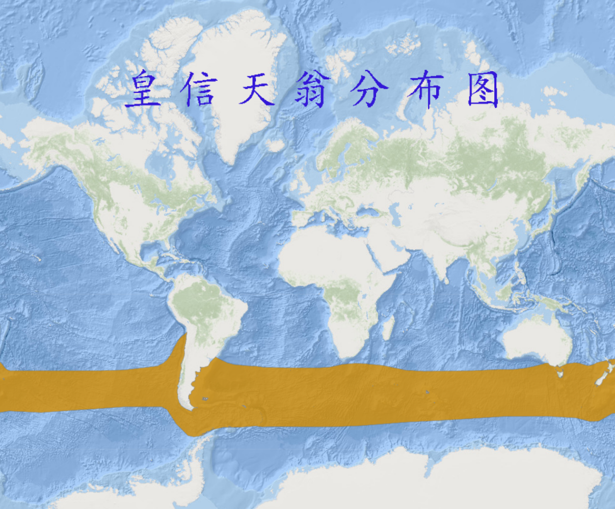 皇信天翁分布图