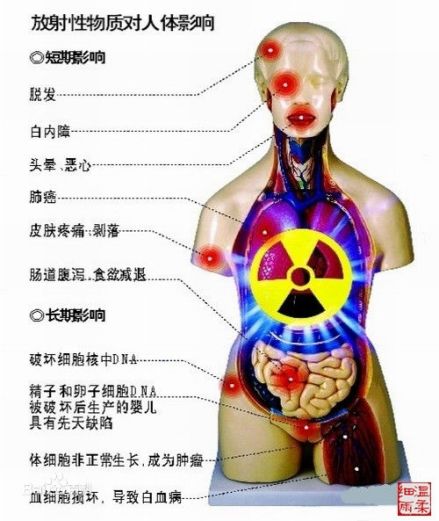 放射性物质对人体的危害