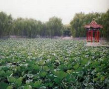 鹿町龙潭