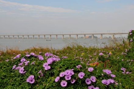 厦深铁路长沙湾特大桥