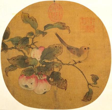 苹婆山鸟