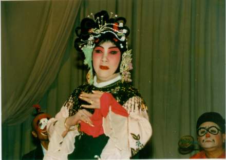 赵慧秋《戏迷传》