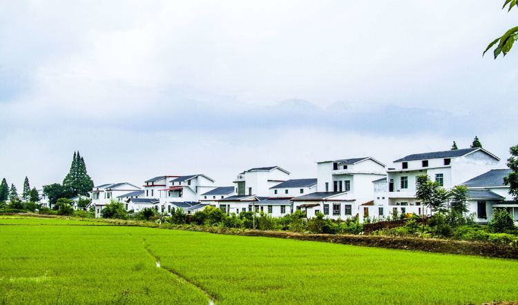南县南洲镇南洲村