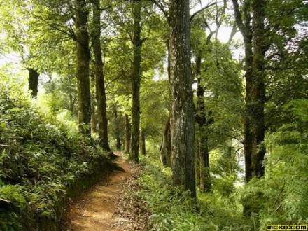 茫荡山风景区