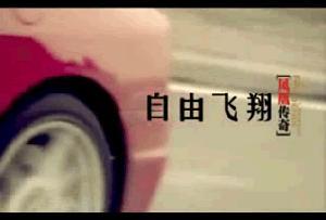 凤凰传奇《自由飞翔》