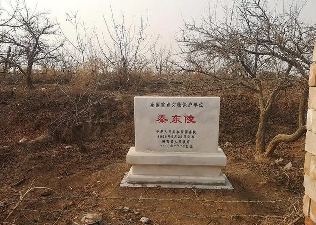 秦东陵