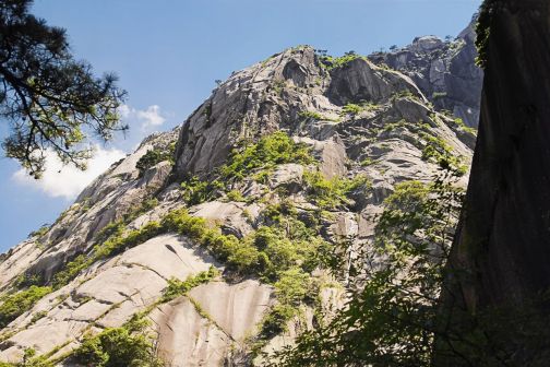 黄山景观
