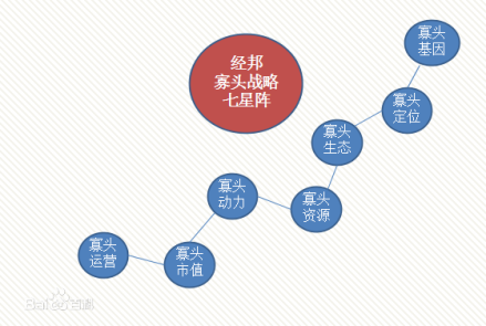 寡头战略的主要内容