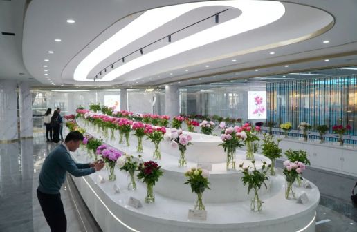 菏泽市风光