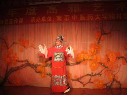 高雅艺术进校园