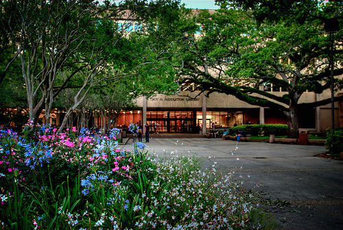 路易斯安那州立大学