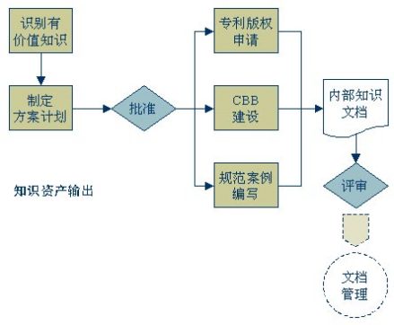 知识资本输出