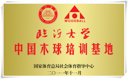 木球