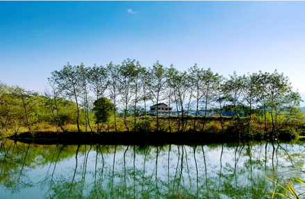 杨家滩水利风景区