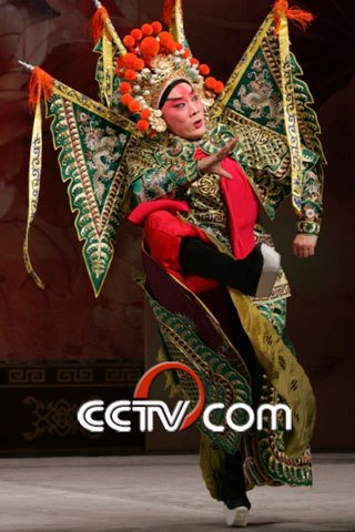 长靠武生