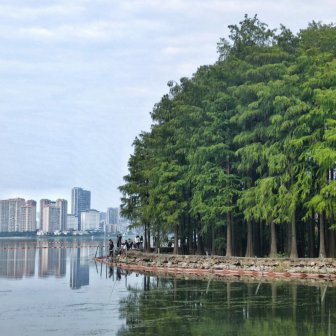 南湖
