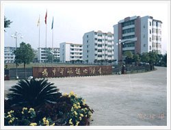 临武县