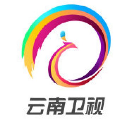 云南卫视
