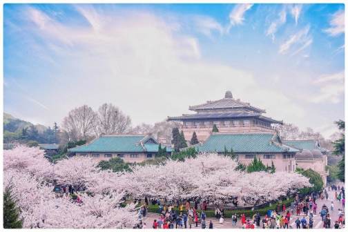 武汉大学