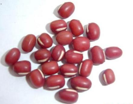 红豆