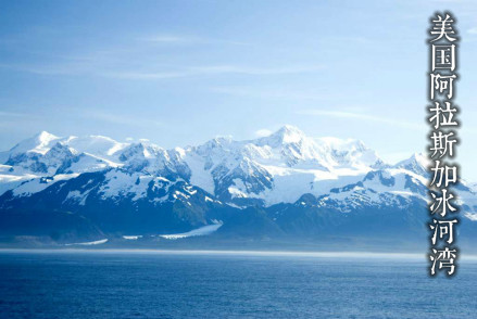 美国阿拉斯加冰河湾