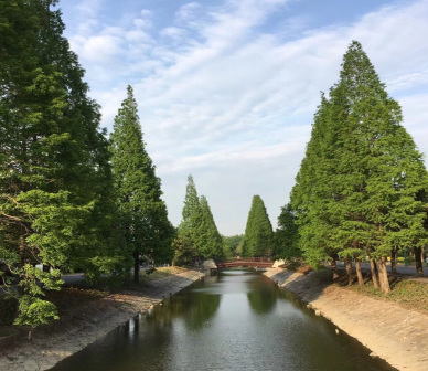 校园风景
