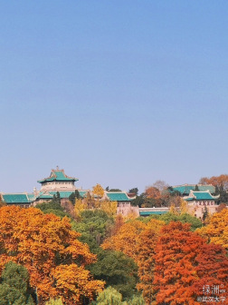 武大美景