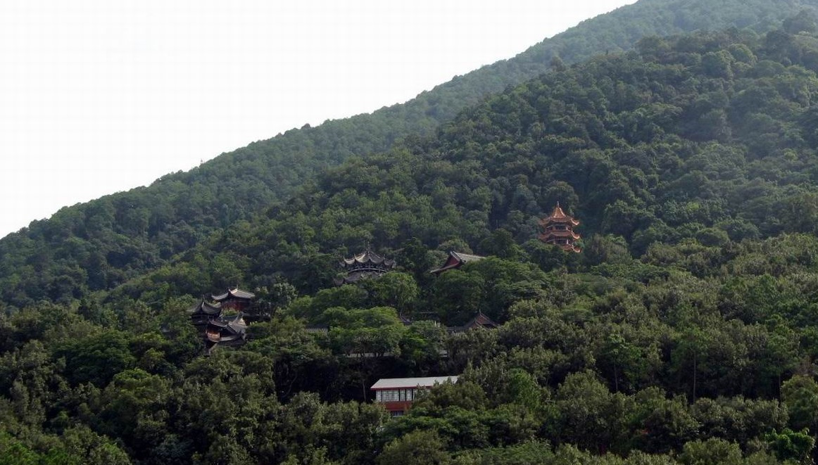 西岸泸山上的建筑