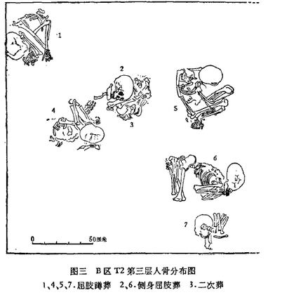 第三层人骨分布图